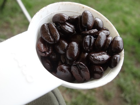 ENJOY! COFFEE! は、何処へ? ENJOY! COFFEE! は、何処へ?