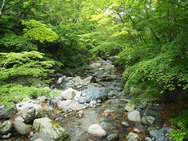 山伏オートキャンプ場 〜 ”新緑の” 道志キャンプ数え歌 第四十八番 山伏オートキャンプ場 〜 ”新緑の” 道志キャンプ数え歌 第四十八番