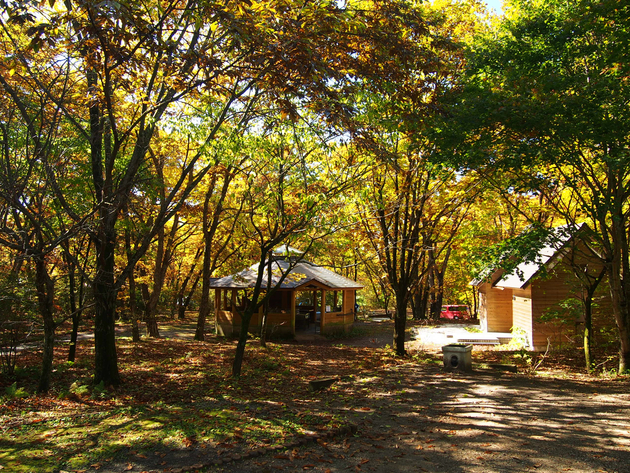 榛名湖オートキャンプ場 〜 黄金色に染まる 上毛かるたキャンプ村