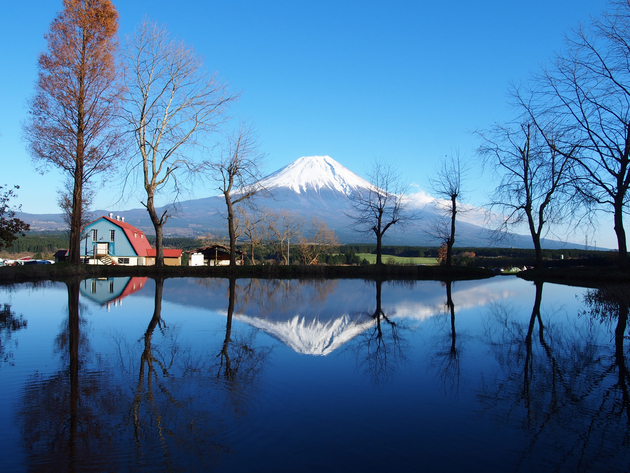 ふもとっぱら 〜 完全無欠の富士山キャンプ