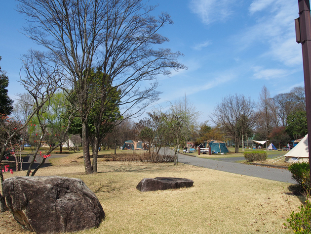 出会いの森総合公園オートキャンプ場 〜 The Park Camp お花見版 出会いの森総合公園オートキャンプ場 〜 The Park Camp お花見版