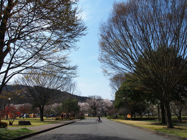 出会いの森総合公園オートキャンプ場 〜 The Park Camp お花見版 出会いの森総合公園オートキャンプ場 〜 The Park Camp お花見版