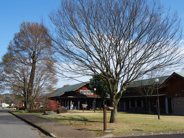 出会いの森総合公園オートキャンプ場 〜 The Park Camp お花見版 出会いの森総合公園オートキャンプ場 〜 The Park Camp お花見版