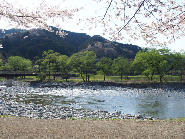 出会いの森総合公園オートキャンプ場 〜 The Park Camp お花見版 出会いの森総合公園オートキャンプ場 〜 The Park Camp お花見版