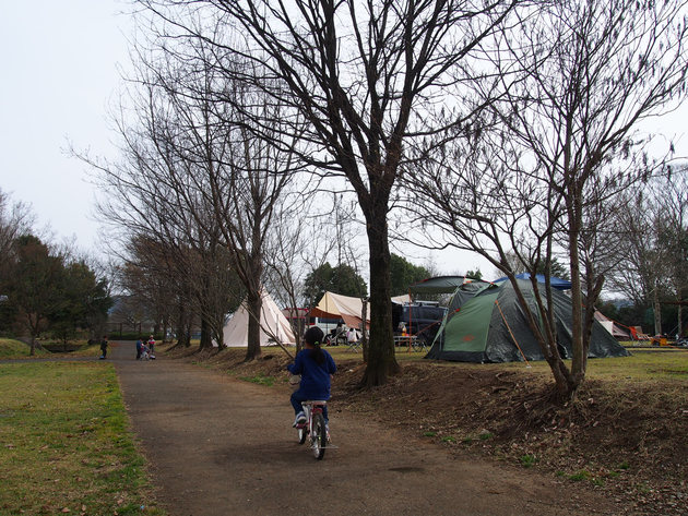 出会いの森総合公園オートキャンプ場 〜 The Park Camp お花見版 出会いの森総合公園オートキャンプ場 〜 The Park Camp お花見版