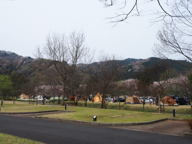 出会いの森総合公園オートキャンプ場 〜 The Park Camp お花見版 出会いの森総合公園オートキャンプ場 〜 The Park Camp お花見版