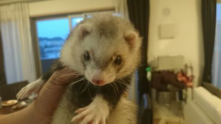 物欲はあらぬ方向へ 物欲はあらぬ方向へ