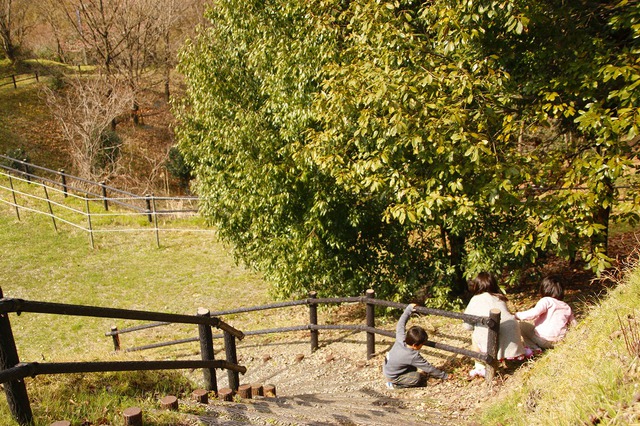 石鎚山ハイウェイオアシスキャンプ場~ 石鎚山ハイウェイオアシスキャンプ場~