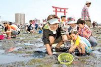 浜名湖潮干狩り２年ぶり再開　初日２７００人楽しむ