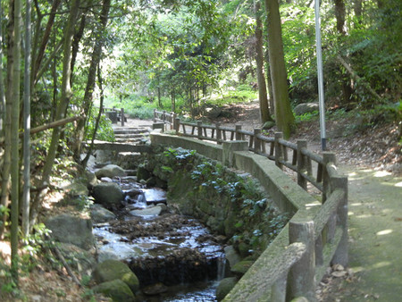 レッツ・・・油山 レッツ・・・油山