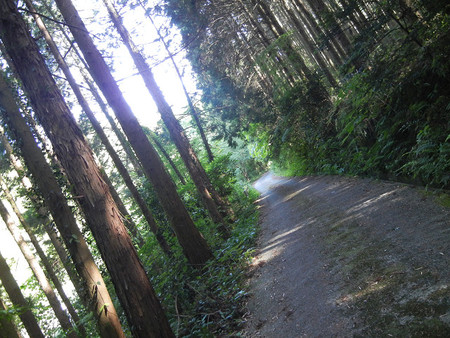 レッツ・・・油山 レッツ・・・油山