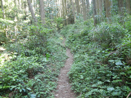 レッツ・・・油山 レッツ・・・油山