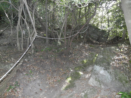 レッツ・・・油山 レッツ・・・油山
