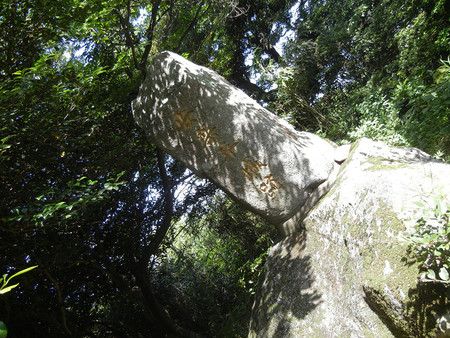 レッツ・・・油山 レッツ・・・油山