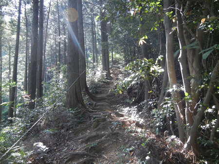 レッツ・・・油山 レッツ・・・油山