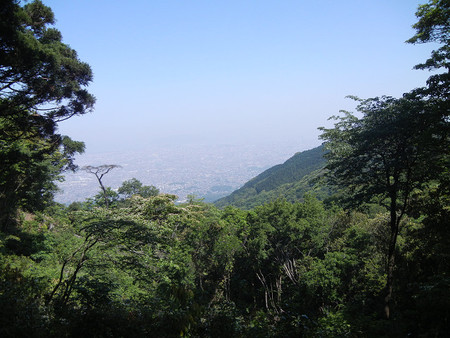 レッツ・・・油山 レッツ・・・油山
