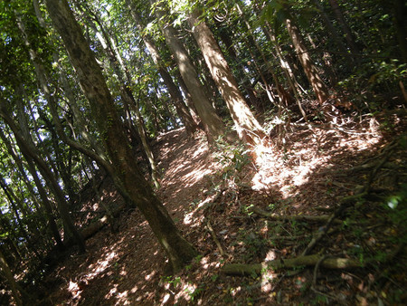 レッツ・・・油山 レッツ・・・油山