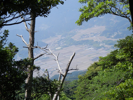 レッツ・・・油山 レッツ・・・油山