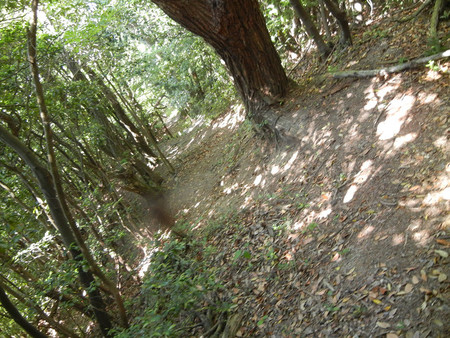 レッツ・・・油山 レッツ・・・油山