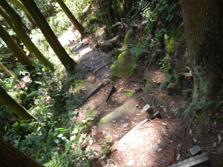 レッツ・・・油山 レッツ・・・油山