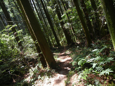 レッツ・・・油山 レッツ・・・油山