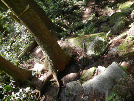 レッツ・・・油山 レッツ・・・油山