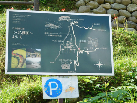 レッツ・・・彼岸花 レッツ・・・彼岸花