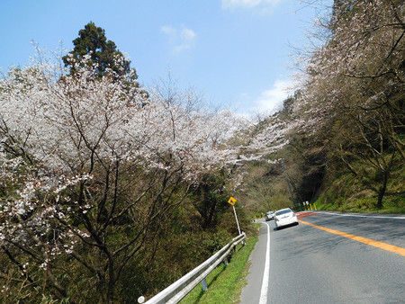 レッツ・・・可也山 レッツ・・・可也山