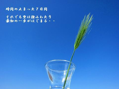 第5回 東日本応援キャンプ予告 第5回 東日本応援キャンプ予告