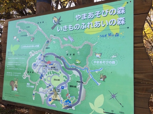 星降るキャンプ~うるぎ星の森オートキャンプ場~(11月5日) 星降るキャンプ~うるぎ星の森オートキャンプ場~(11月5日)
