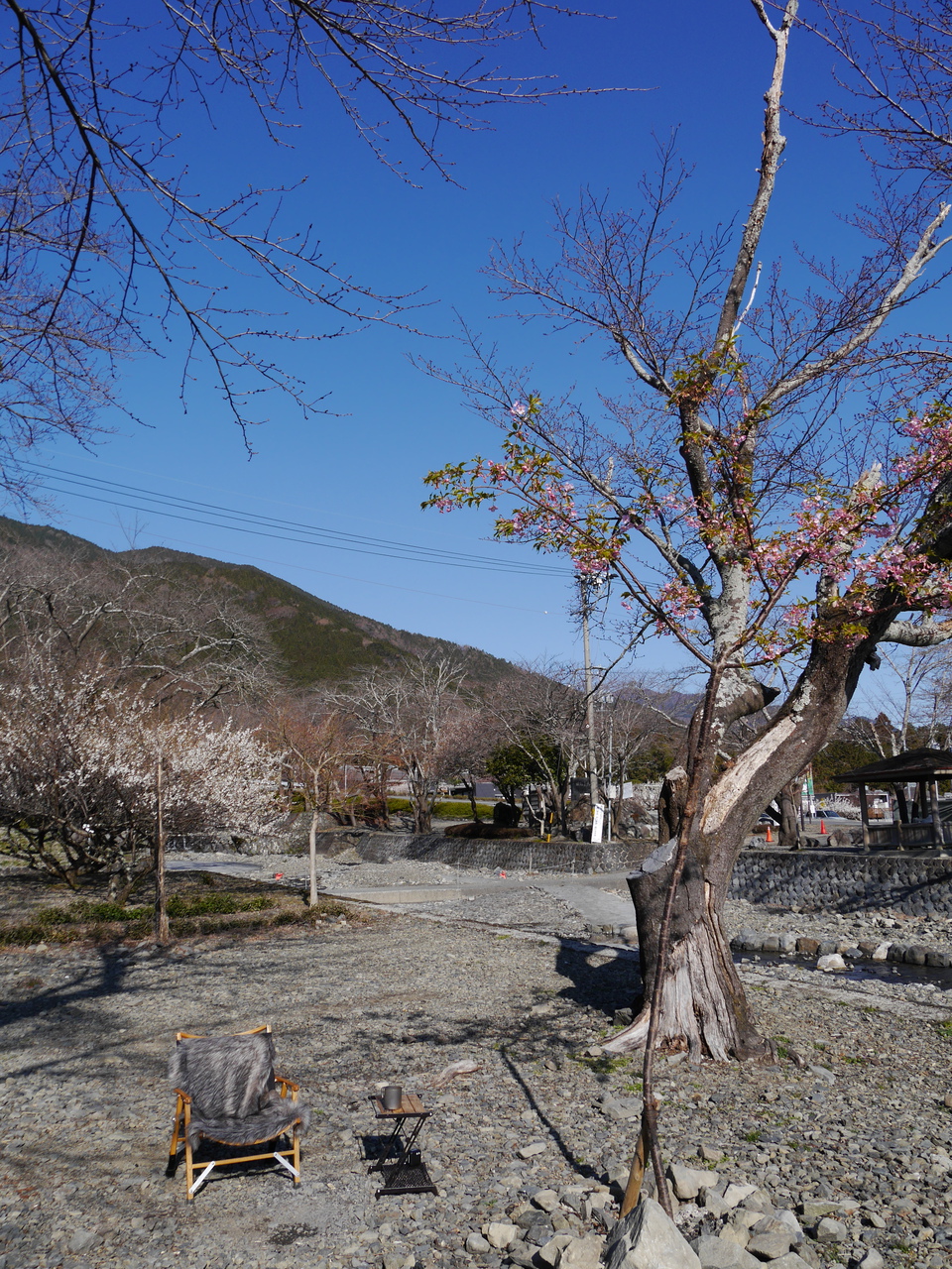 忘れられないソロキャンプの想い出【大津谷公園キャンプ場】 忘れられないソロキャンプの想い出【大津谷公園キャンプ場】