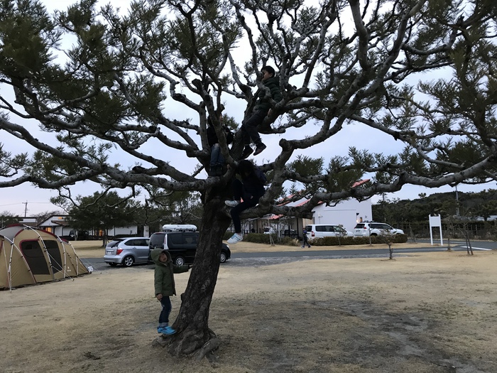 絶好の冬キャンプ日和のひな祭りキャンプ【竜洋海洋公園オートキャンプ場】①（３月３日～）