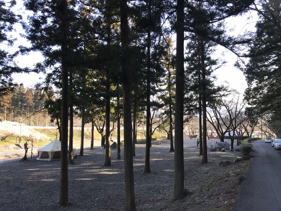 忘れられないソロキャンプの想い出【大津谷公園キャンプ場】 忘れられないソロキャンプの想い出【大津谷公園キャンプ場】
