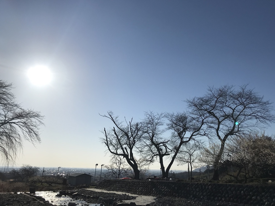 忘れられないソロキャンプの想い出【大津谷公園キャンプ場】 忘れられないソロキャンプの想い出【大津谷公園キャンプ場】
