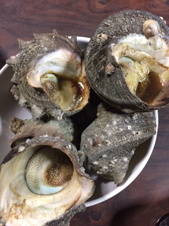 激旨!! 激旨!!