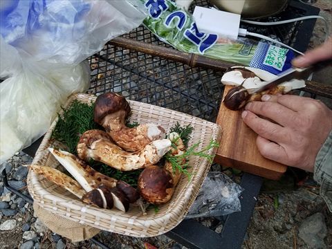 黄和田で秋の味覚祭りキャンプ
