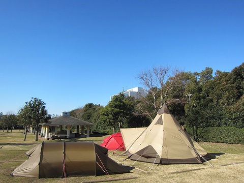 近場でノンビリキャンプin若洲キャンプ場（2015/1/31～2/1）
