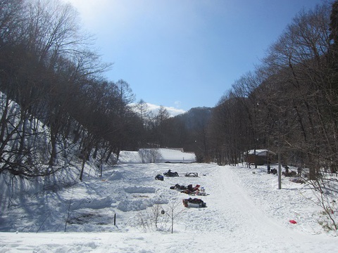 今週末も桐の木平で雪中キャンプ（2014/1/26～27）