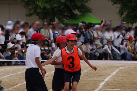 最近のあれこれ、、、 最近のあれこれ、、、