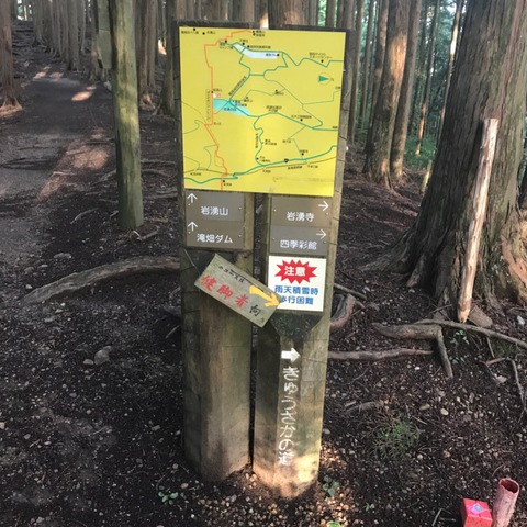 朝食は岩湧山で(^^) 朝食は岩湧山で(^^)