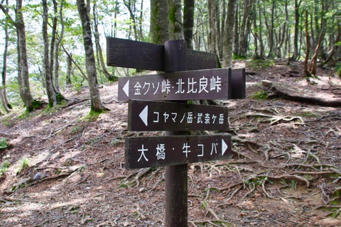 比良山系最高峰の武奈ケ岳へ 比良山系最高峰の武奈ケ岳へ