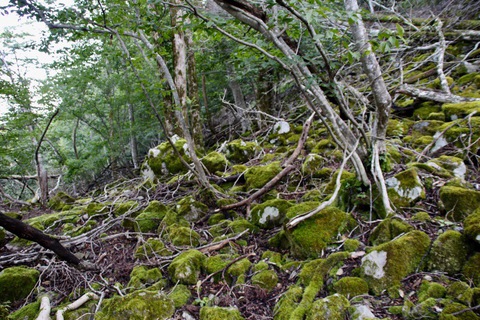 比良山系最高峰の武奈ケ岳へ 比良山系最高峰の武奈ケ岳へ