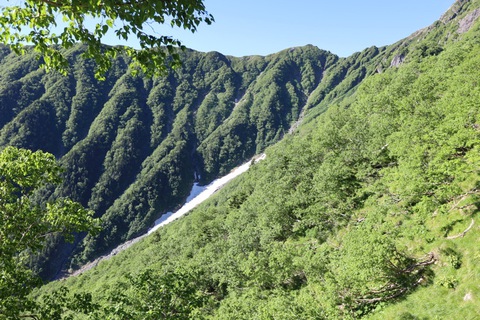 北岳、間ノ岳縦走 最終日 北岳、間ノ岳縦走 最終日