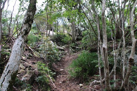 比良山系最高峰の武奈ケ岳へ 比良山系最高峰の武奈ケ岳へ