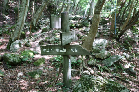 比良山系最高峰の武奈ケ岳へ 比良山系最高峰の武奈ケ岳へ