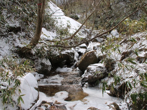 残雪の御在所岳に行って来ました(^^) 残雪の御在所岳に行って来ました(^^)