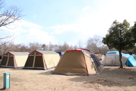 毎年恒例の赤穂での牡蠣キャンプに行ってきました(^^) 2017 毎年恒例の赤穂での牡蠣キャンプに行ってきました(^^) 2017