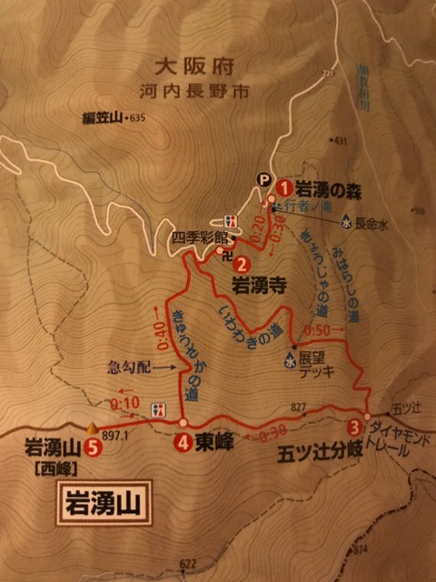 朝食は岩湧山で(^^) 朝食は岩湧山で(^^)