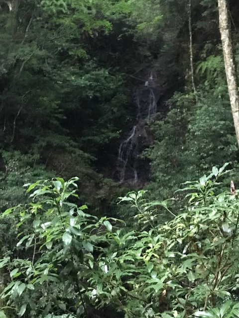 朝食は岩湧山で(^^) 朝食は岩湧山で(^^)
