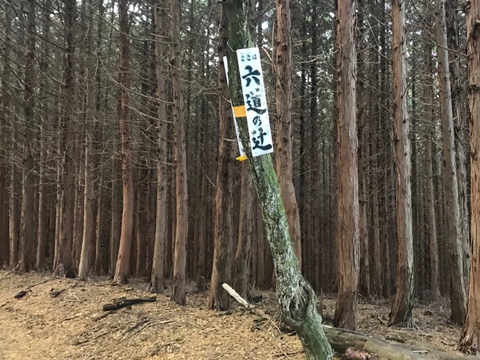 金剛山でソロトレーニング  (太尾道〜青崩道)